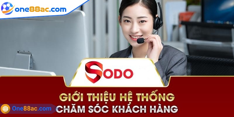 Đội ngũ hỗ trợ từ nhà cái
